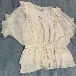 Pretty Express sheer Swiss dot shirt